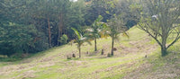 Lote en Rionegro Vereda Cascajo